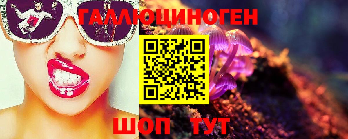 Псилоцибиновые грибы Psilocybe Иваново
