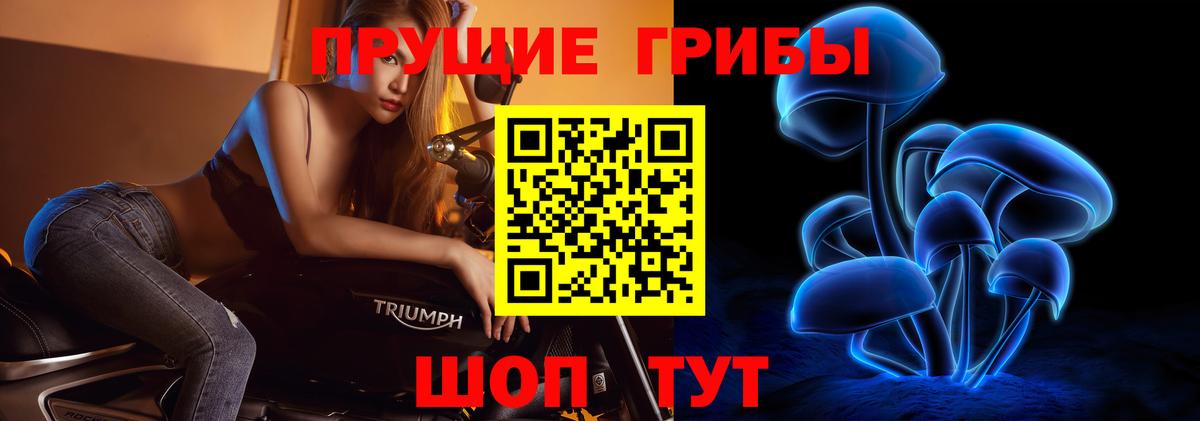 Иваново  Псилоцибиновые грибы GOLDEN TEACHER  Вход с VPN 